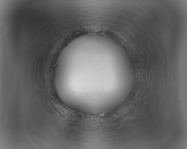 X0000074320961200608251026