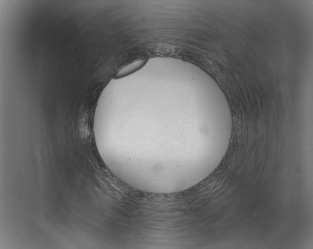 X0000074320962200608251026