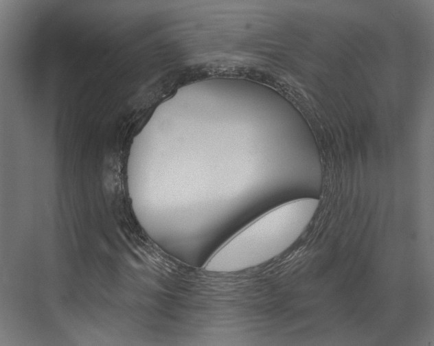 X0000074320964200608251026