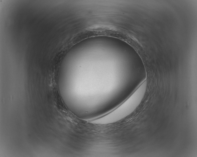 X0000074320965200608251026