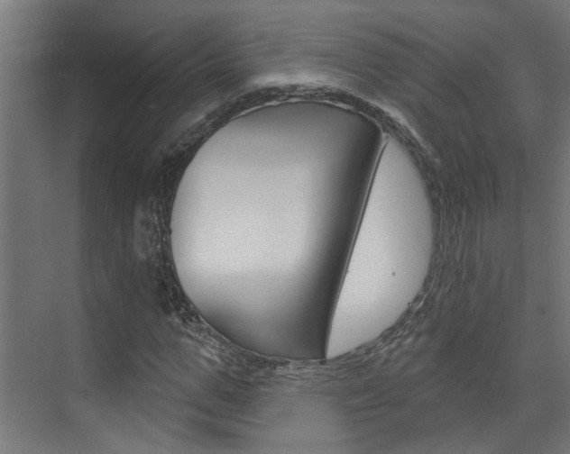 X0000074320967200608251026