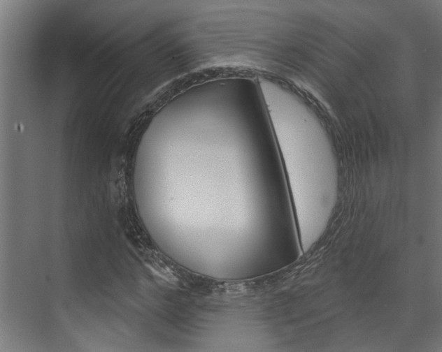X0000074320968200608251026