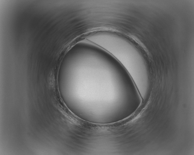X0000074320969200608251026