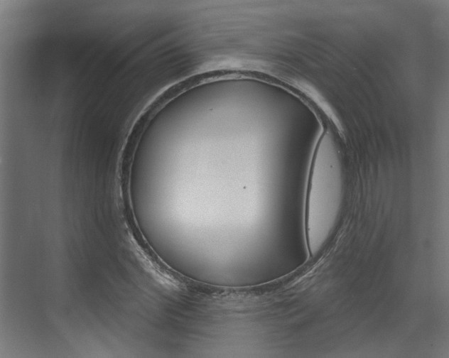 X0000074320972200608251026