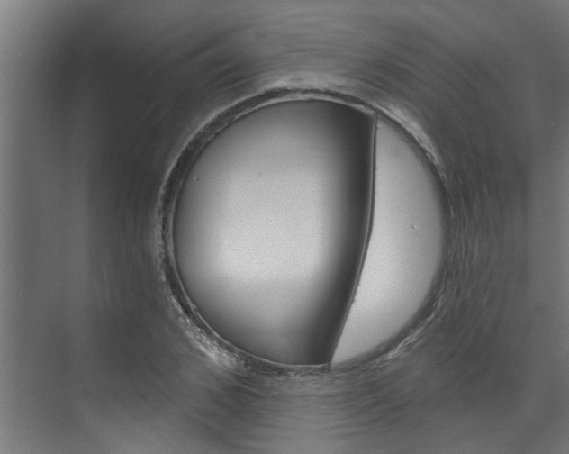 X0000074320976200608251026