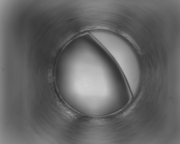 X0000074320977200608251026