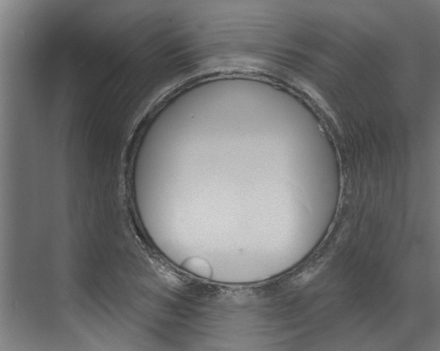 X0000074320978200608251026