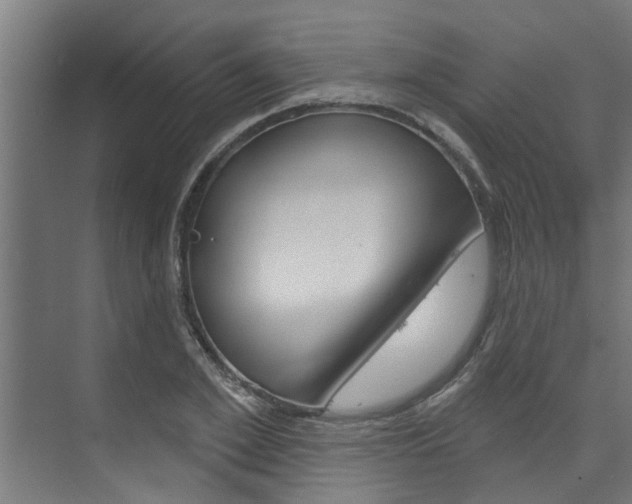 X0000074320981200608251026