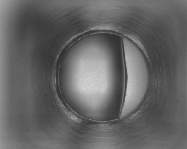 X0000074320984200608251026