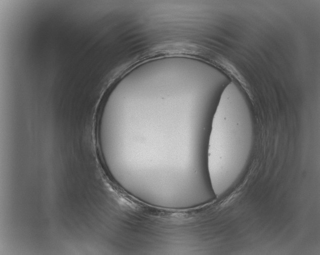 X0000074320986200608251026