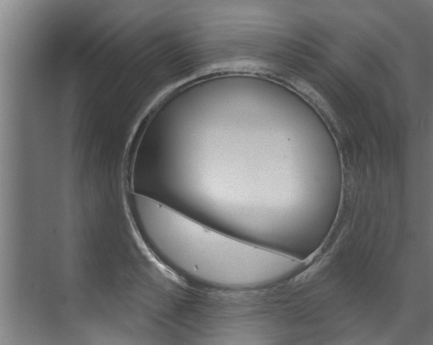 X0000074320989200608251026