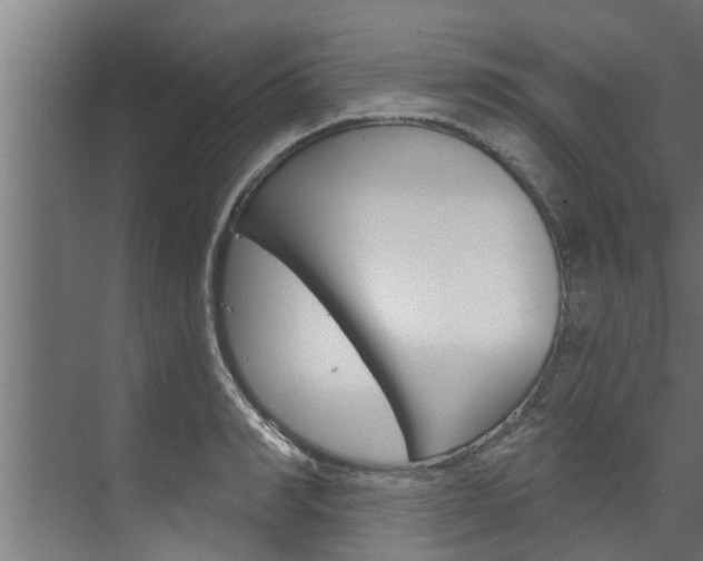 X0000074320990200608251026