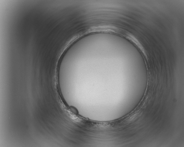 X0000074320994200608251026