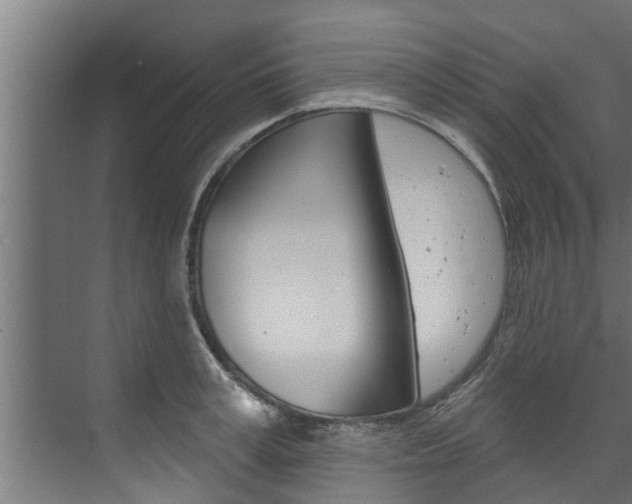 X0000074320995200608251026