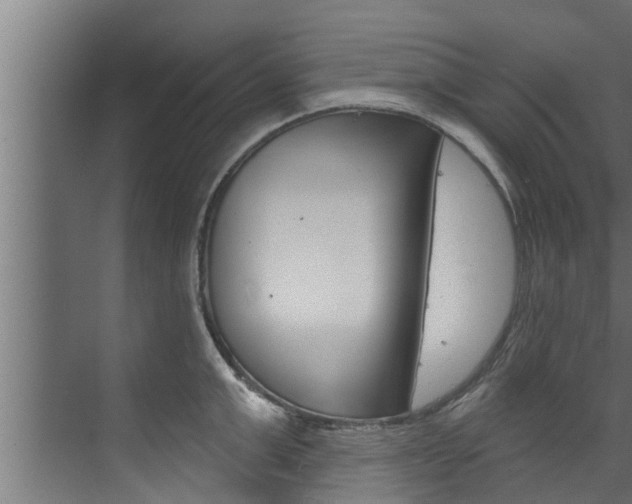 X0000074320999200608251026