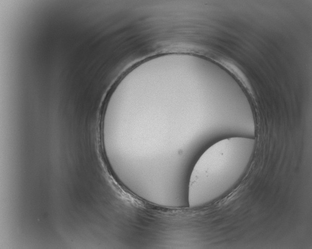 X0000074321000200608251026