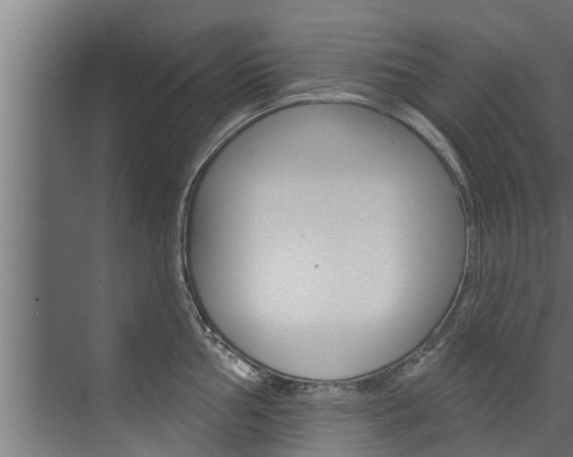 X0000074321002200608251026