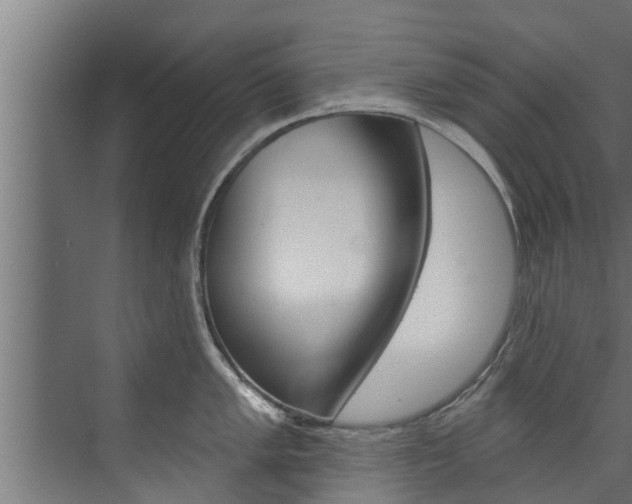 X0000074321005200608251026