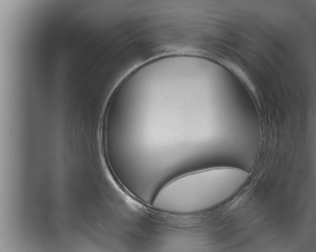 X0000074321007200608251026