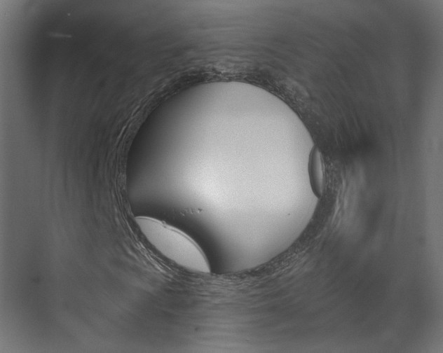 X0000074321009200608251025