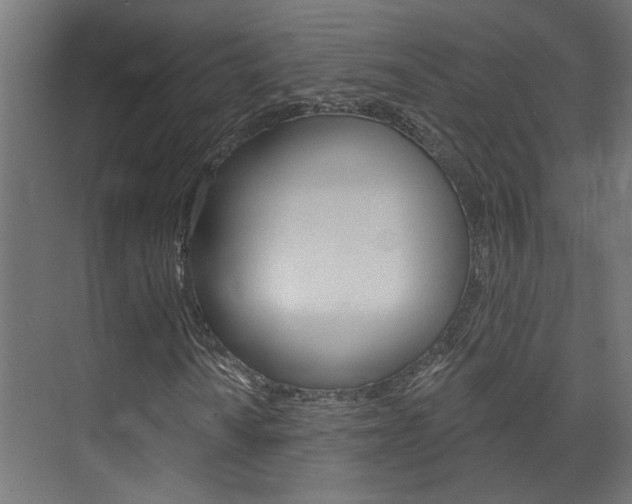 X0000074321010200608251025