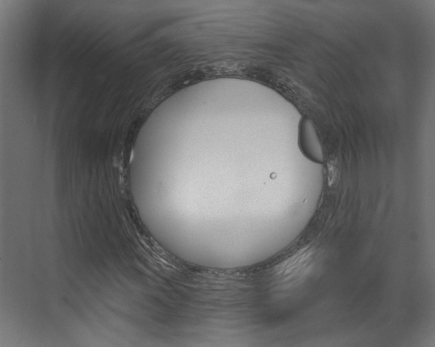 X0000074321011200608251025
