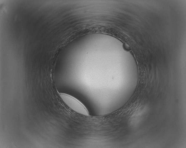 X0000074321013200608251025