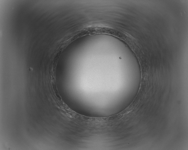 X0000074321014200608251025