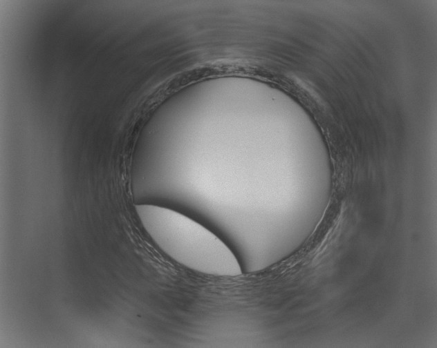 X0000074321015200608251025
