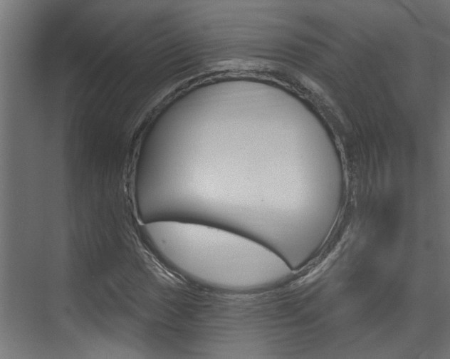 X0000074321017200608251025