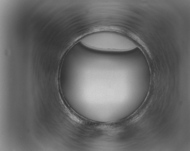 X0000074321033200608251025