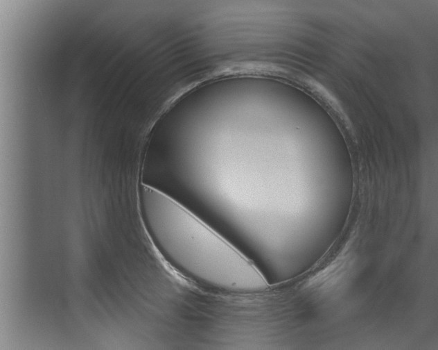X0000074321041200608251025