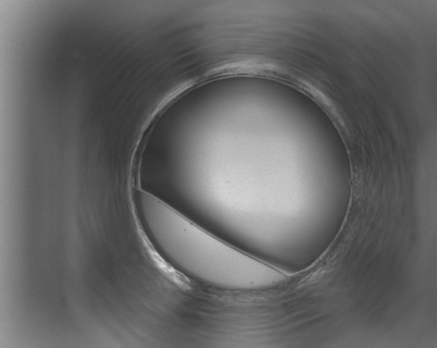 X0000074321042200608251025