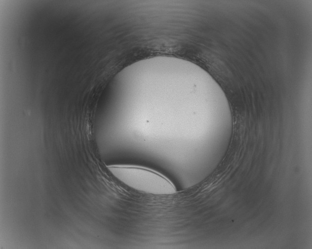 X0000074321058200608251025