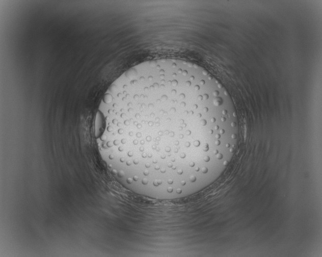 X0000074321059200608251025
