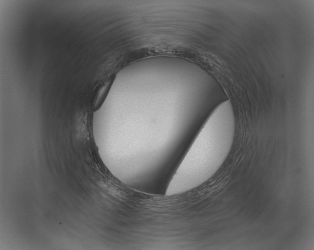 X0000074321060200608251025