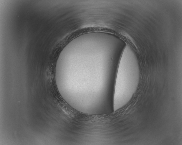 X0000074321064200608251025