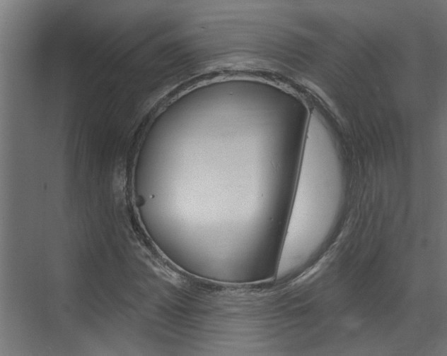 X0000074321065200608251025