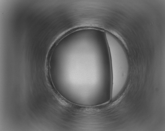 X0000074321077200608251024