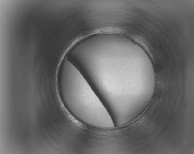 X0000074321091200608251024