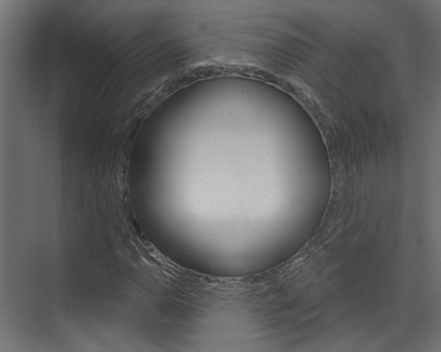 X0000074321110200608251023