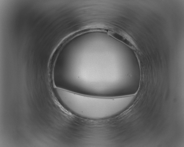 X0000074321116200608251023