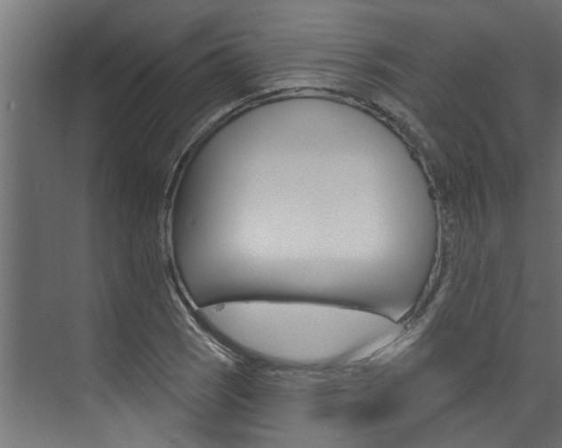 X0000074321121200608251023