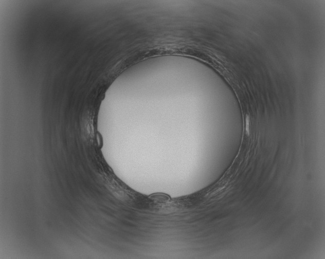 X0000074321155200608251023