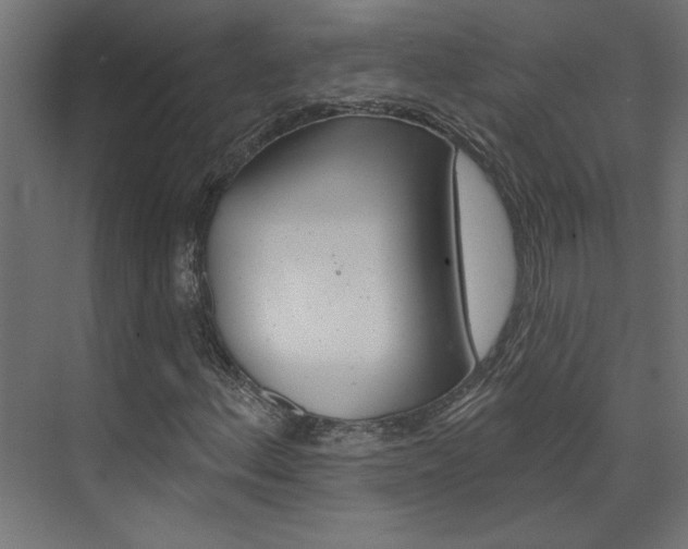 X0000074321156200608251023
