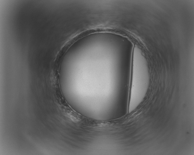 X0000074321160200608251023
