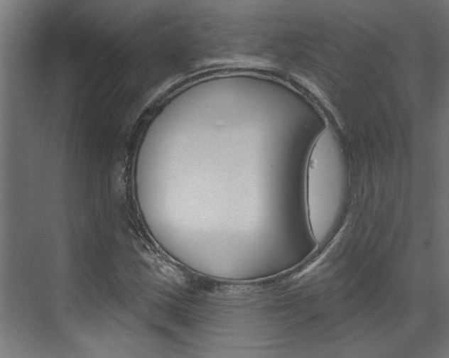 X0000074321163200608251023