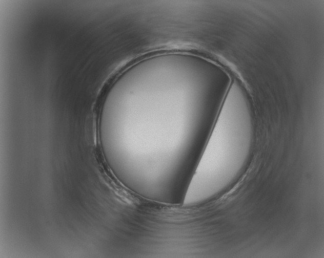 X0000074321171200608251023