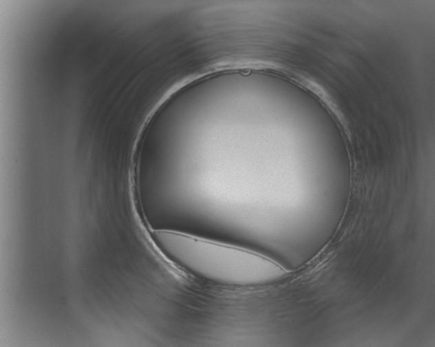 X0000074321187200608251022
