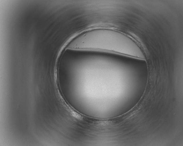 X0000074321188200608251022
